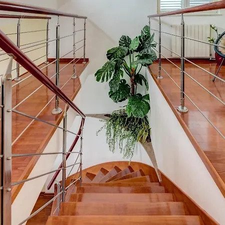 Apartment Luxury Galla *